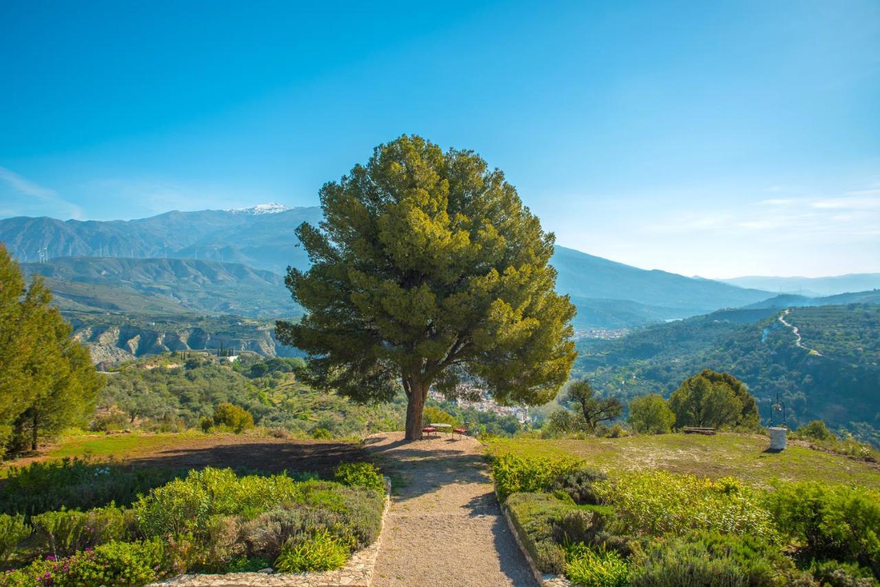 La Esperanza Granada Luxury Hacienda & Private Villa Saleres Bagian luar foto