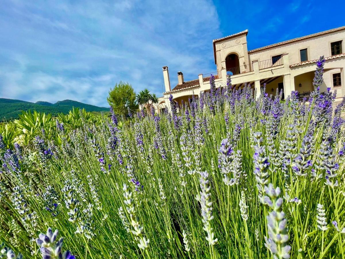 La Esperanza Granada Luxury Hacienda & Private Villa Saleres Bagian luar foto